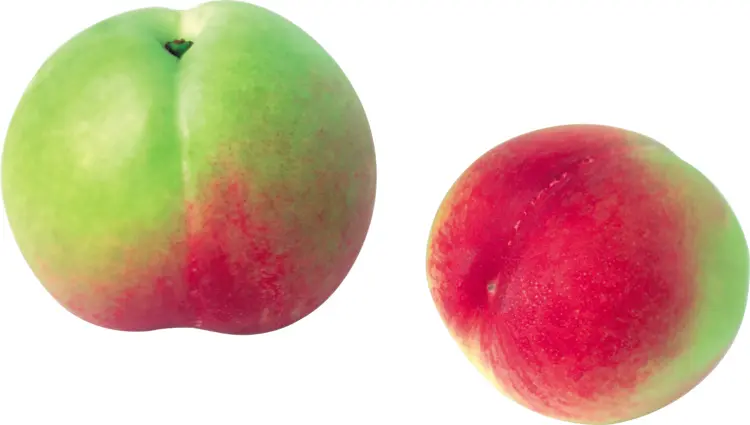 Green and Red Peaches