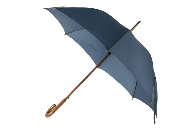 Blue Umbrella for Rainy Days