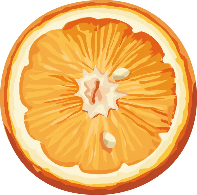 Fresh Orange Slice