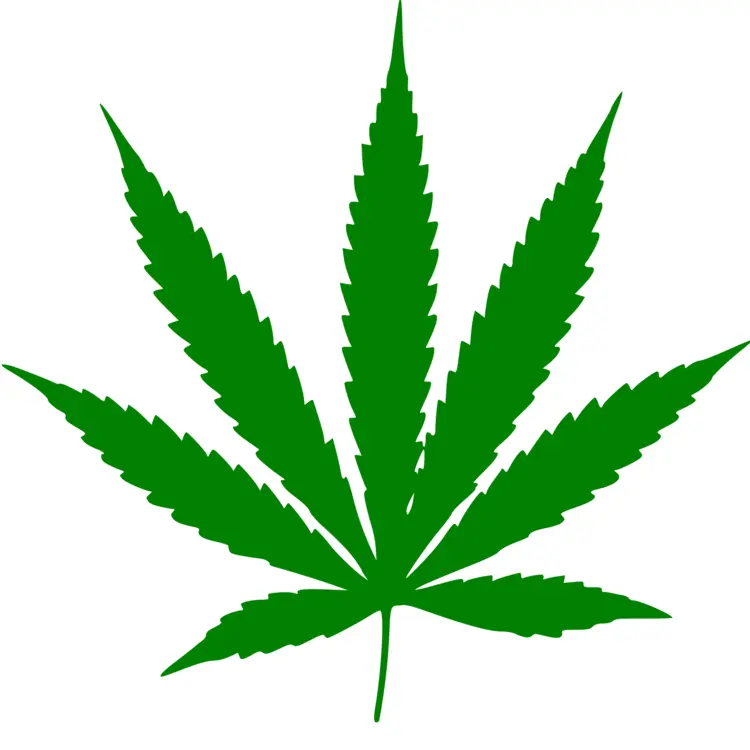 Simple Green Cannabis Leaf