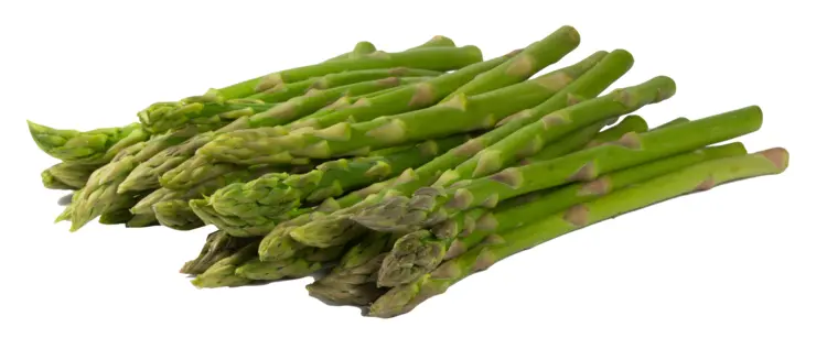 Bunch of Fresh Green Asparagus