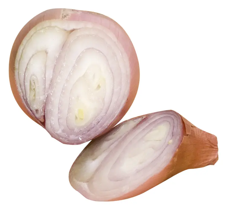 Sliced Shallot Bulbs