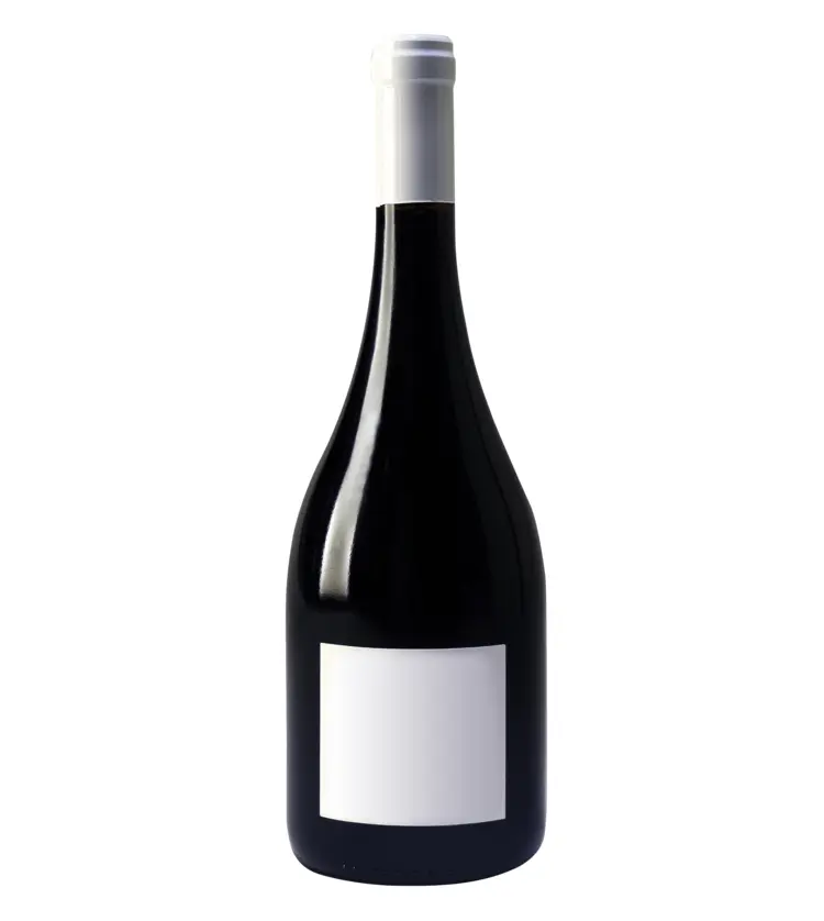 Simple Wine Bottle