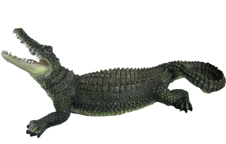 Alligator with Open Mouth