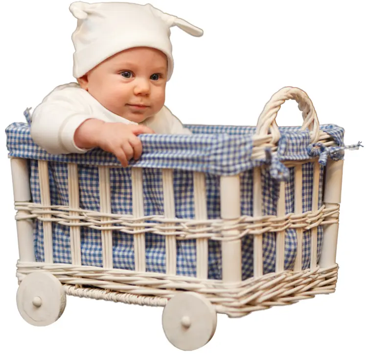 Baby in Basket