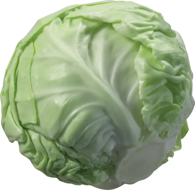 Whole Green Cabbage