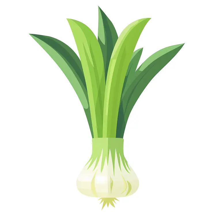 Green Onion with Leaves Illustration