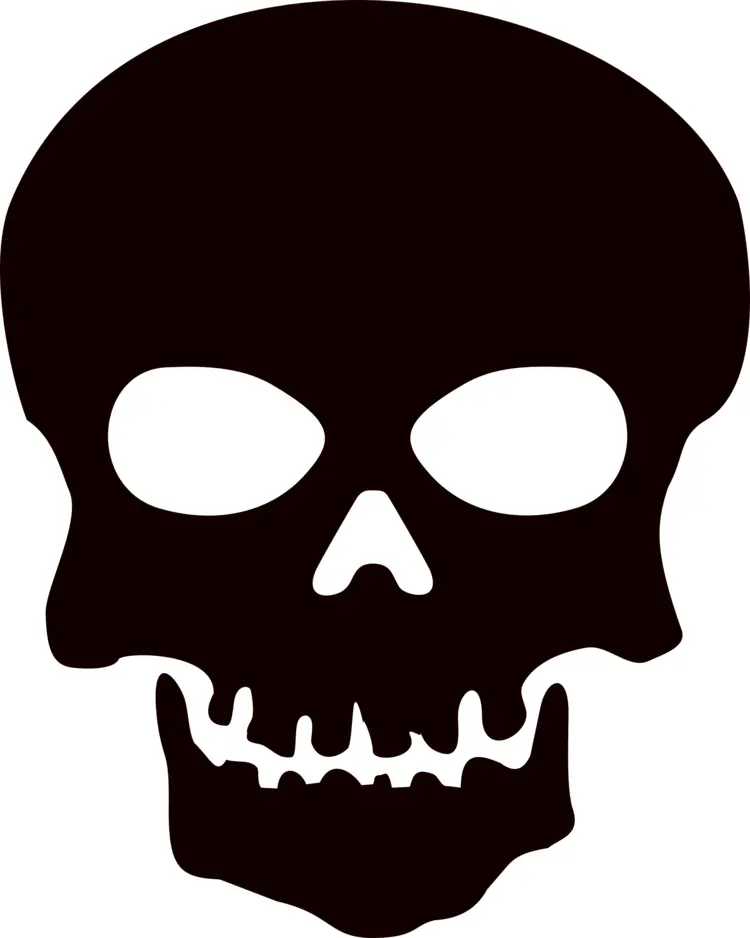 Black Skull Illustration