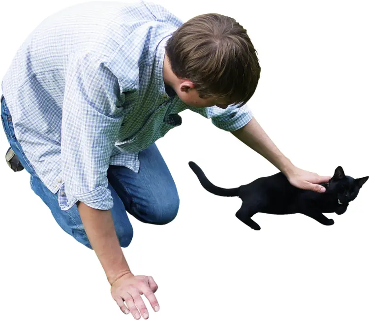 Man Petting Black Cat
