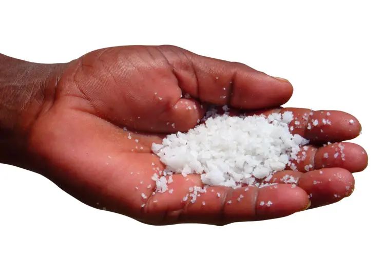 Salt in Hand
