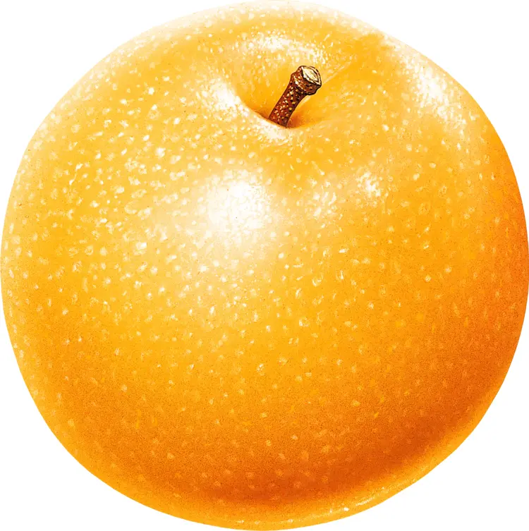 Fresh Orange Apple