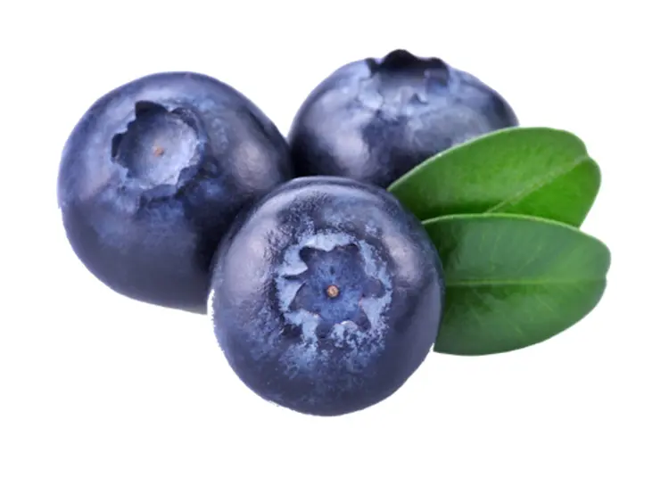 Fresh Blueberries with Green Leaves