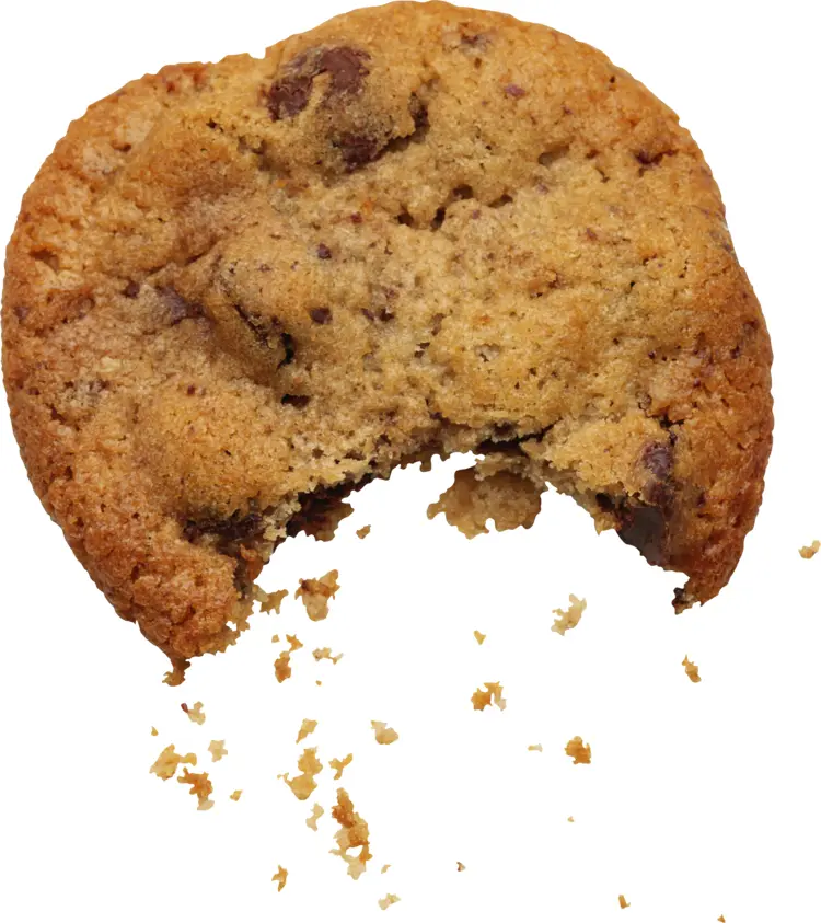 Yummy Chocolate Chip Cookie