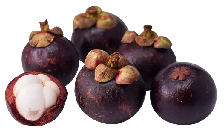 Mangosteen Group