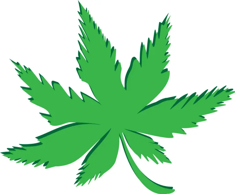 Stylized Cannabis Leaf Illustration