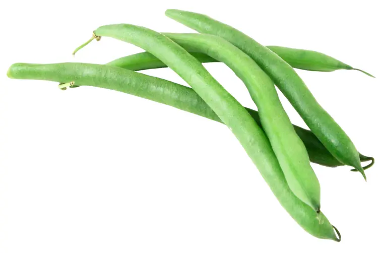 Fresh Green Beans for Healthy Cooking