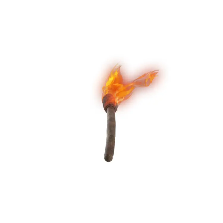 Burning Torch with Flames