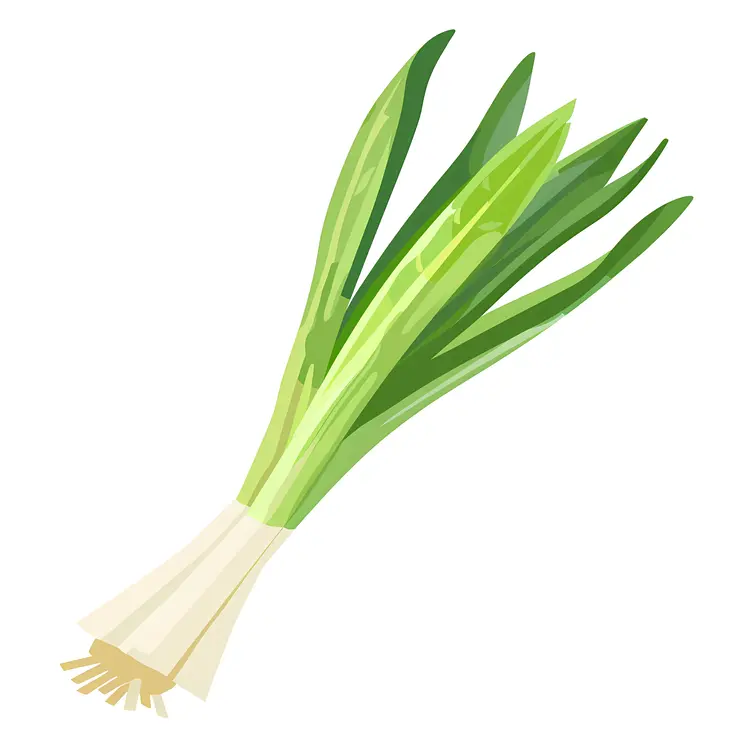 Fresh Green Leek Vegetable