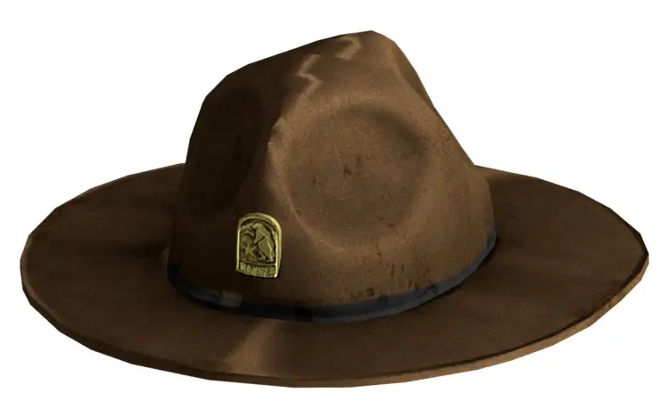 Sturdy Brown Ranger Hat