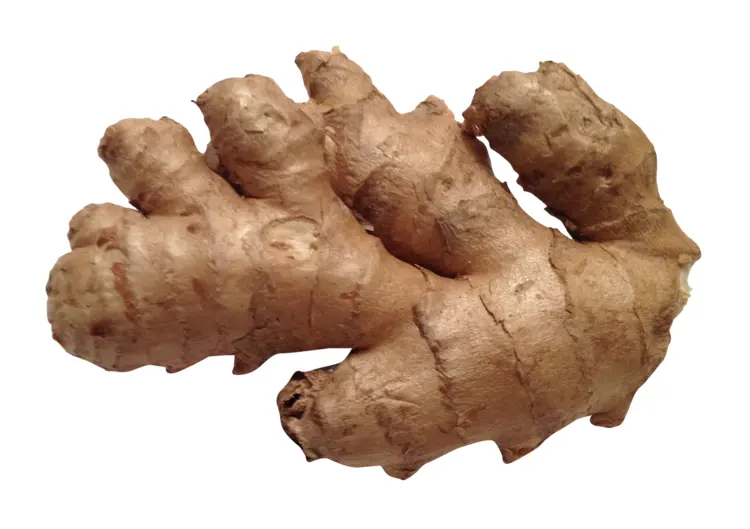 Ginger Root