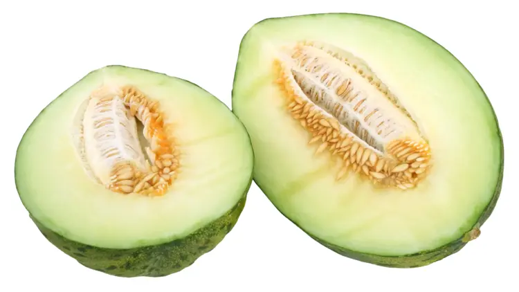 Fresh Green Melon