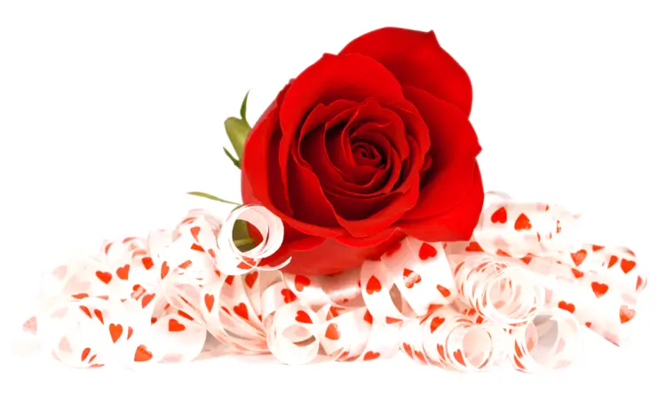 Red Rose with Heart Decorations
