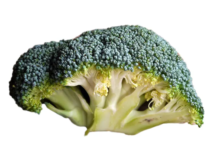 Healthy Green Broccoli