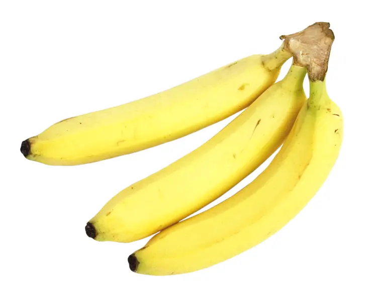Bunch of Bananas