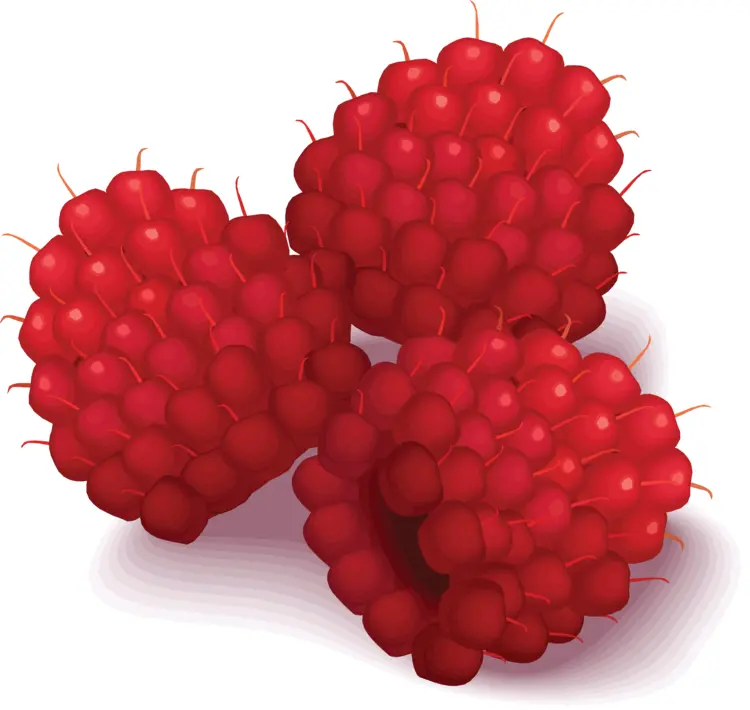 Cluster of Fresh Raspberries