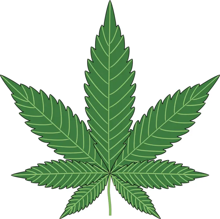 Green Cannabis Leaf