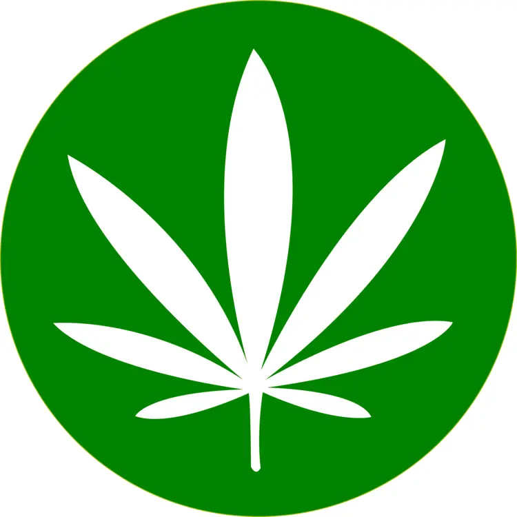 White Cannabis Leaf on Green Circle