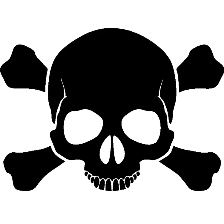 Black Skull and Crossbones