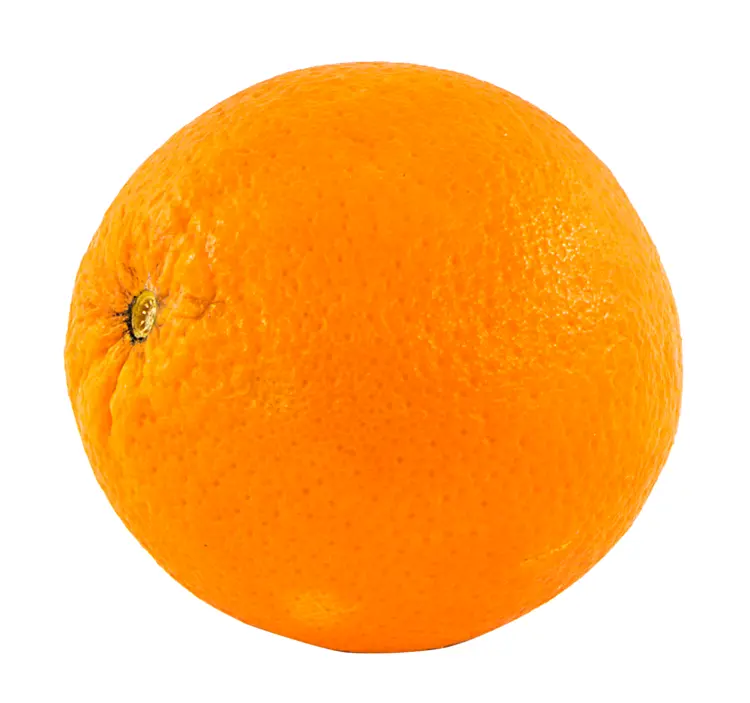 Round Orange Fruit