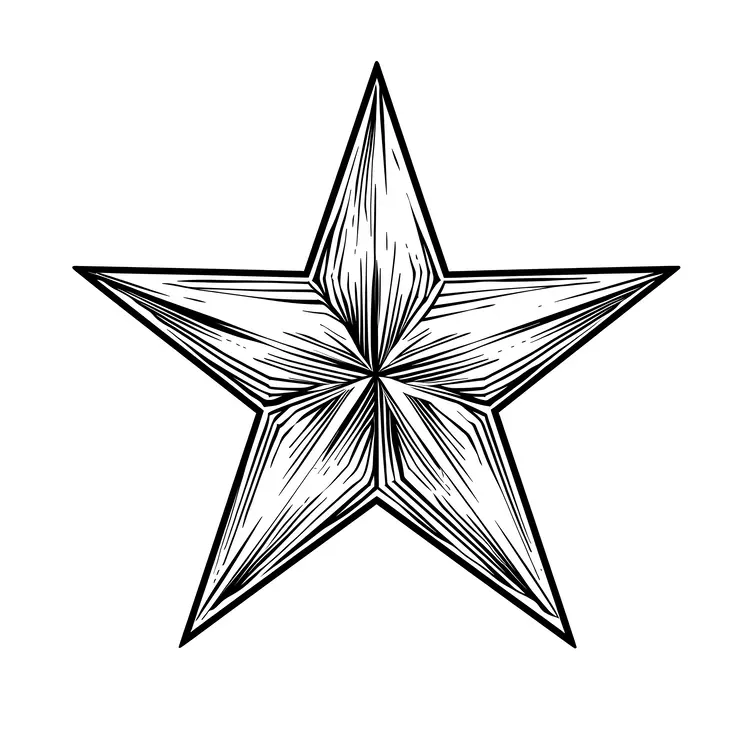Black and White Geometric Star Design