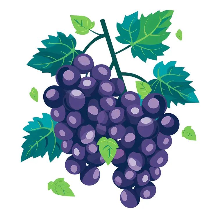 Cartoon Style Purple Grapes