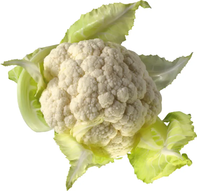Cauliflower with Green Leaves