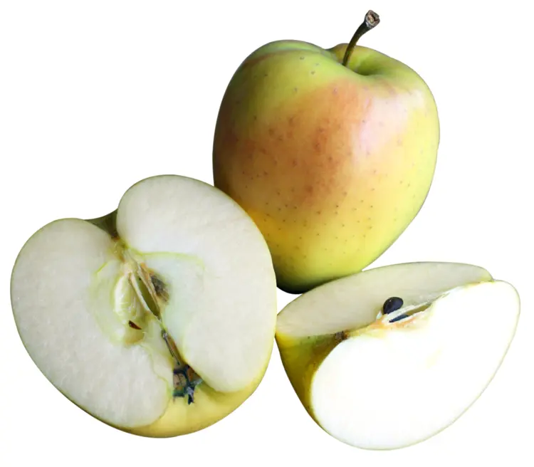 Green Apple with Slices