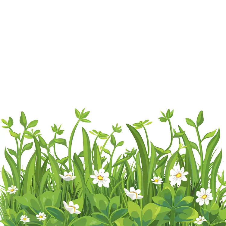 Green Grass and White Flowers in Spring