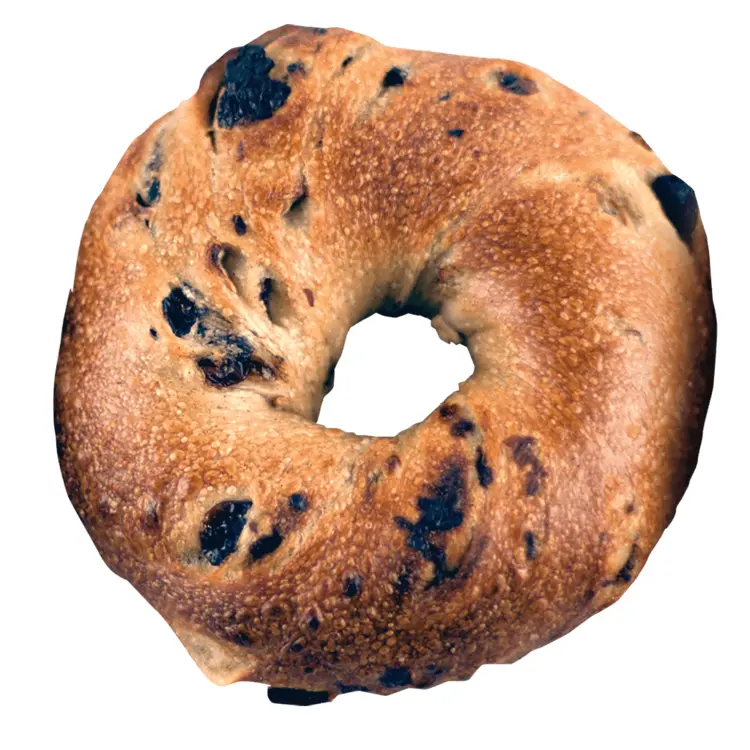 Delicious Bagel with Raisins