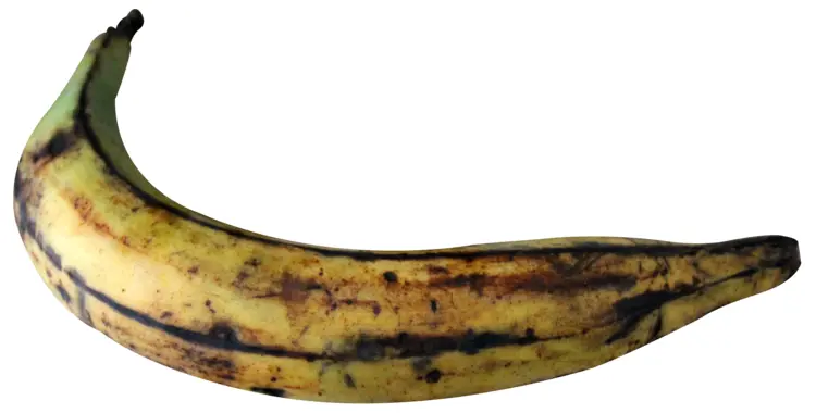 Ripe Plantain with Spots