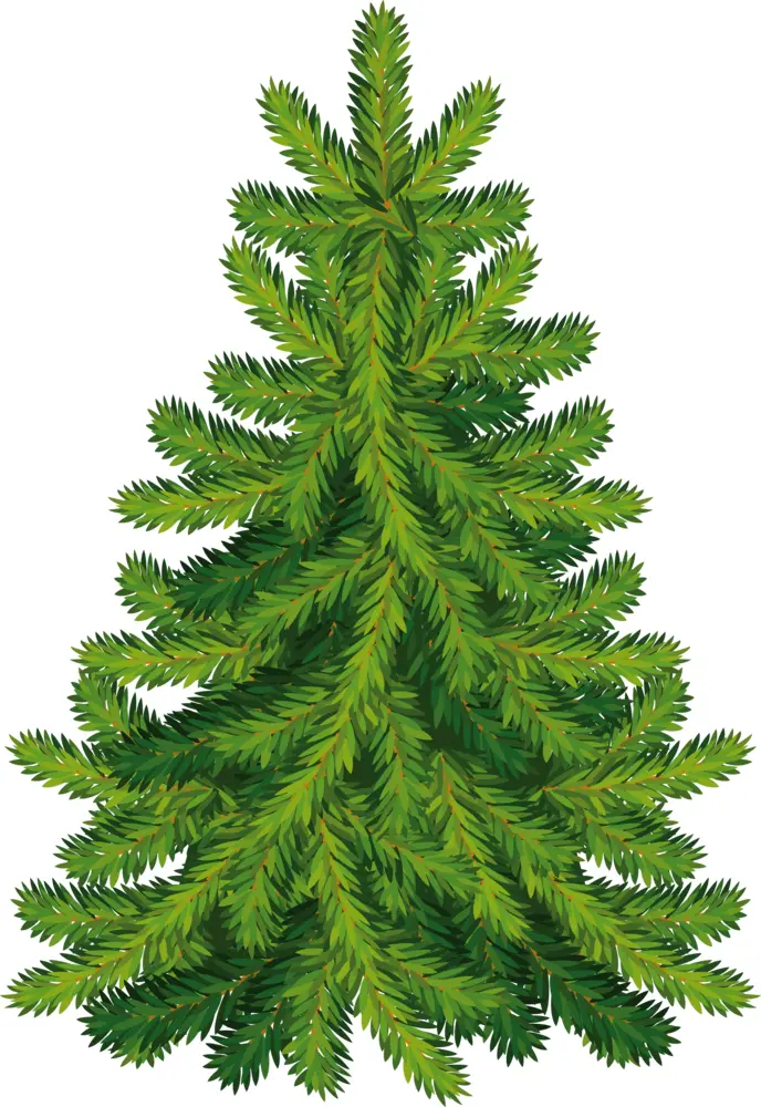 Green Christmas Tree Illustration
