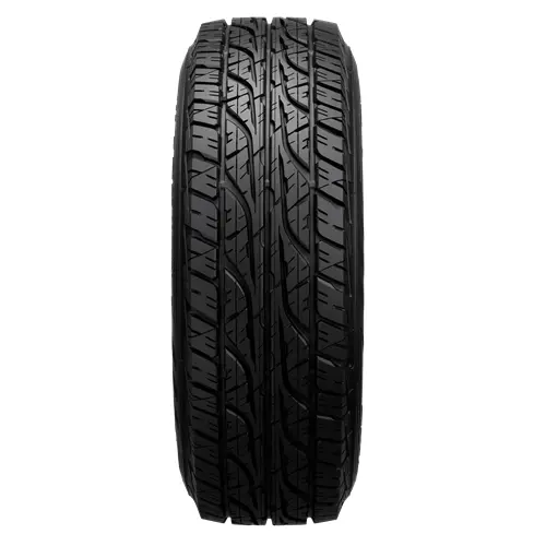 All-season Black Tire