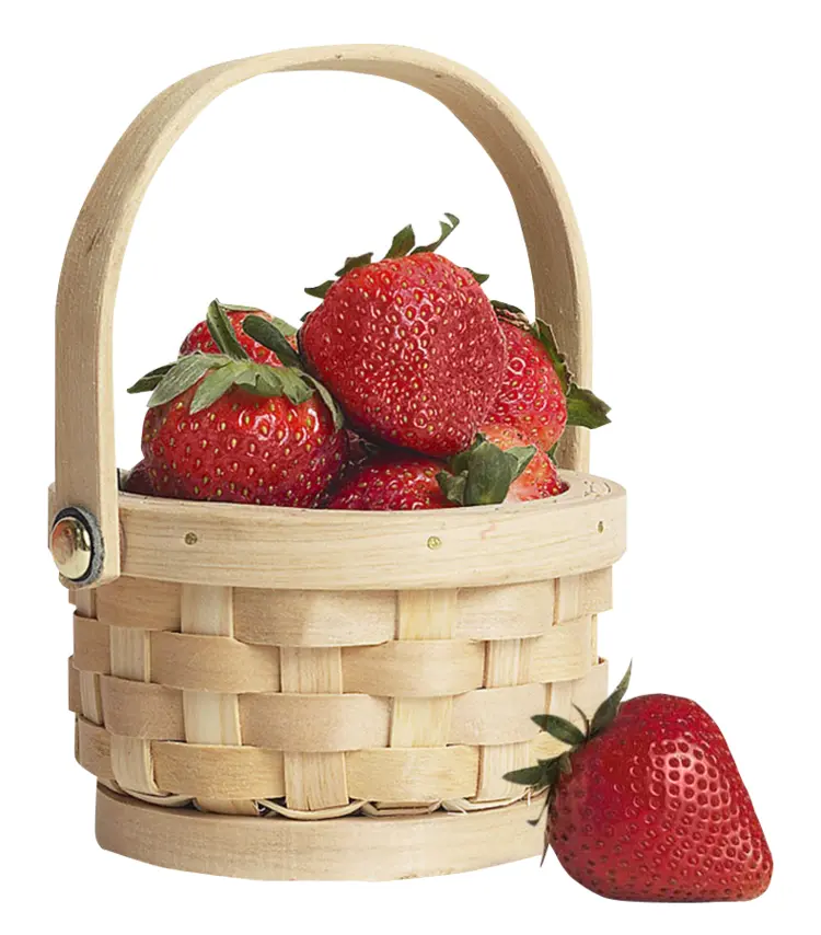 Basket of Fresh Strawberries