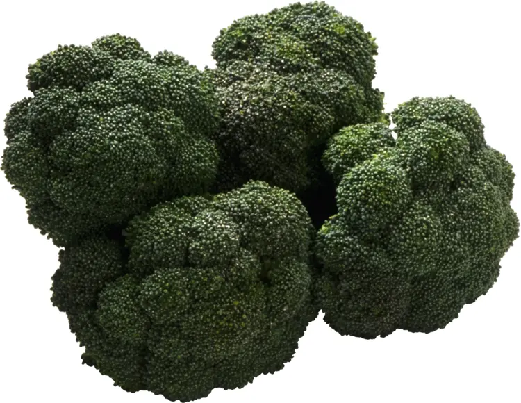 Fresh Green Broccoli Florets