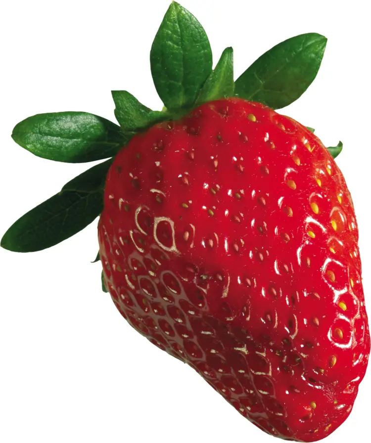 Juicy Red Strawberry