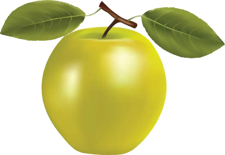 Yellow Apple with Leaves