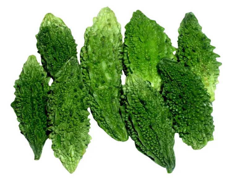 Green Bitter Melon Vegetable