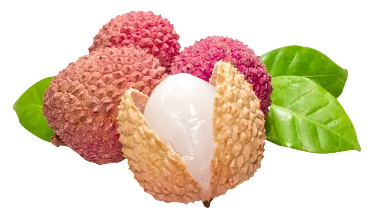 Fresh Lychee Fruit with Leaves