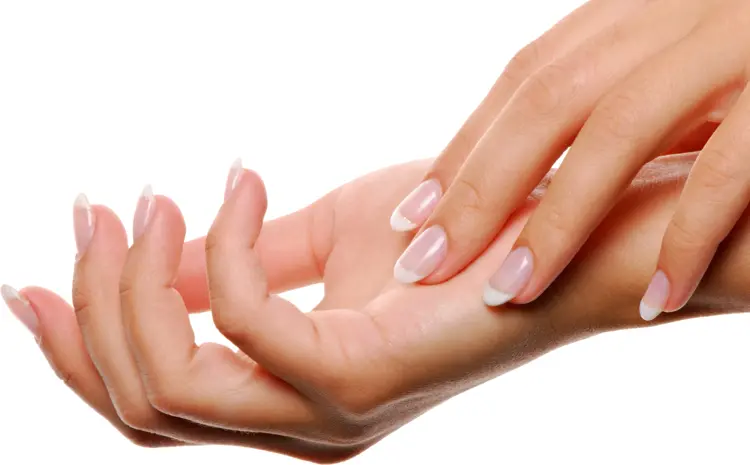 Well-Groomed Hands with Natural Nails