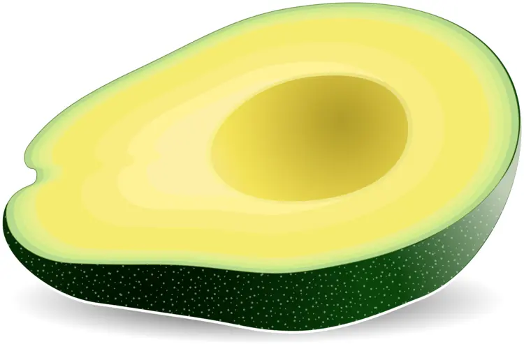 Green Avocado Half Illustration